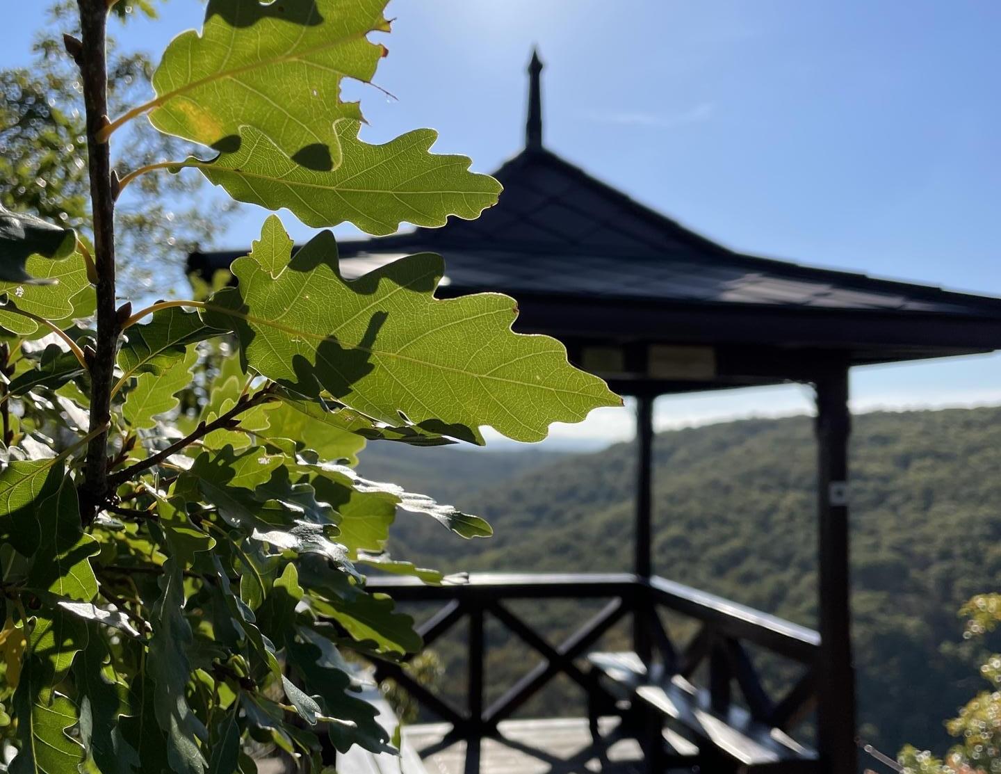Fotografie penzionu 4